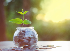 Plant growing from coins